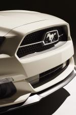 Ford Mustang GT 50th Anniversary Edition 2015 года